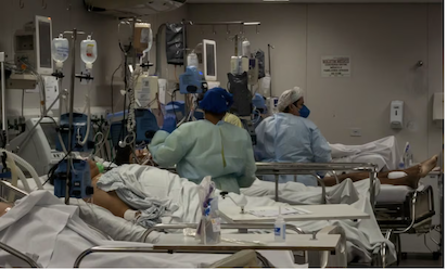 ALERTA EN BRASIL: ALUMNOS DE MEDICINA NO SABEN LO MINIMO