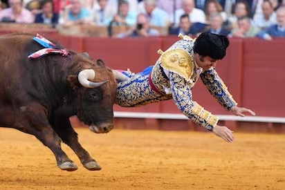 MORANTE 1