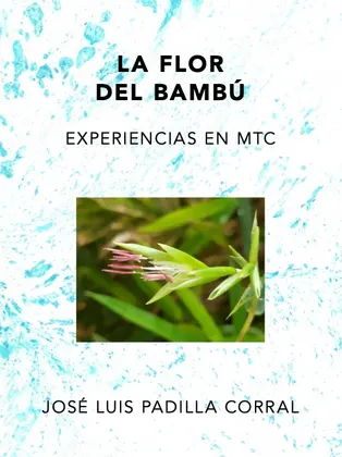 LA FLOR DEL BAMBÚ