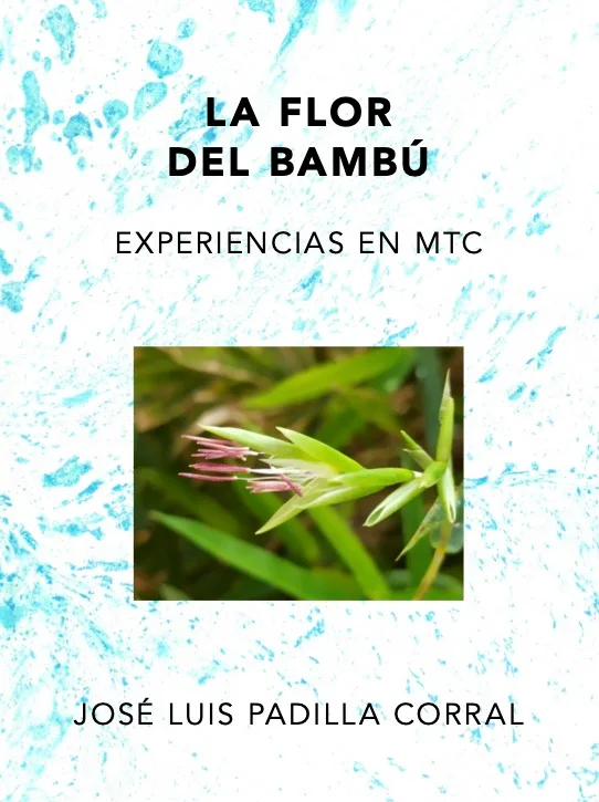 LA FLOR DEL BAMBÚ