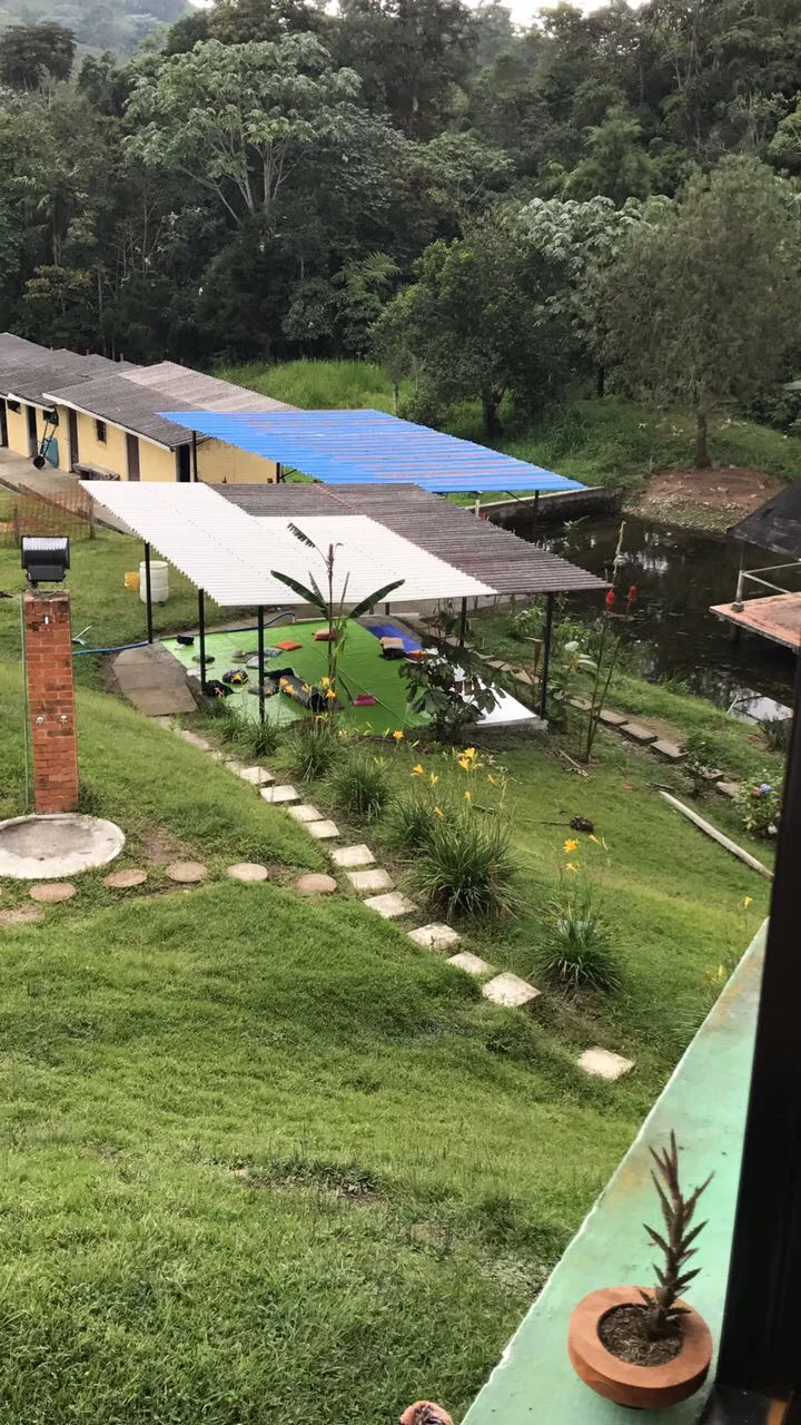 PEREIRA