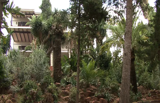 MÁLAGA